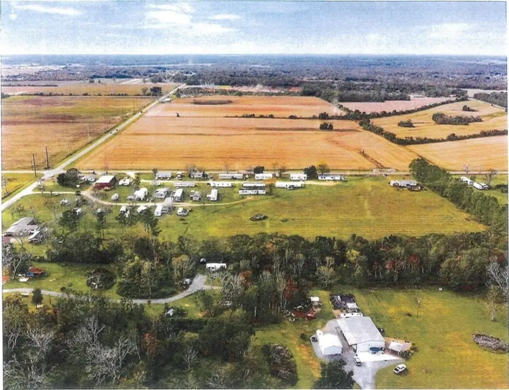 Picture 8