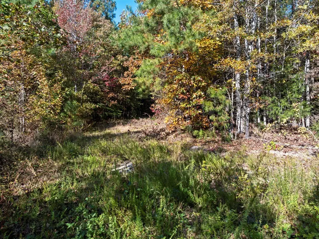 Picture 26