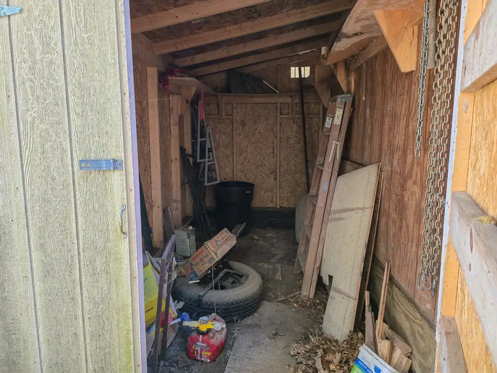 Picture 17
