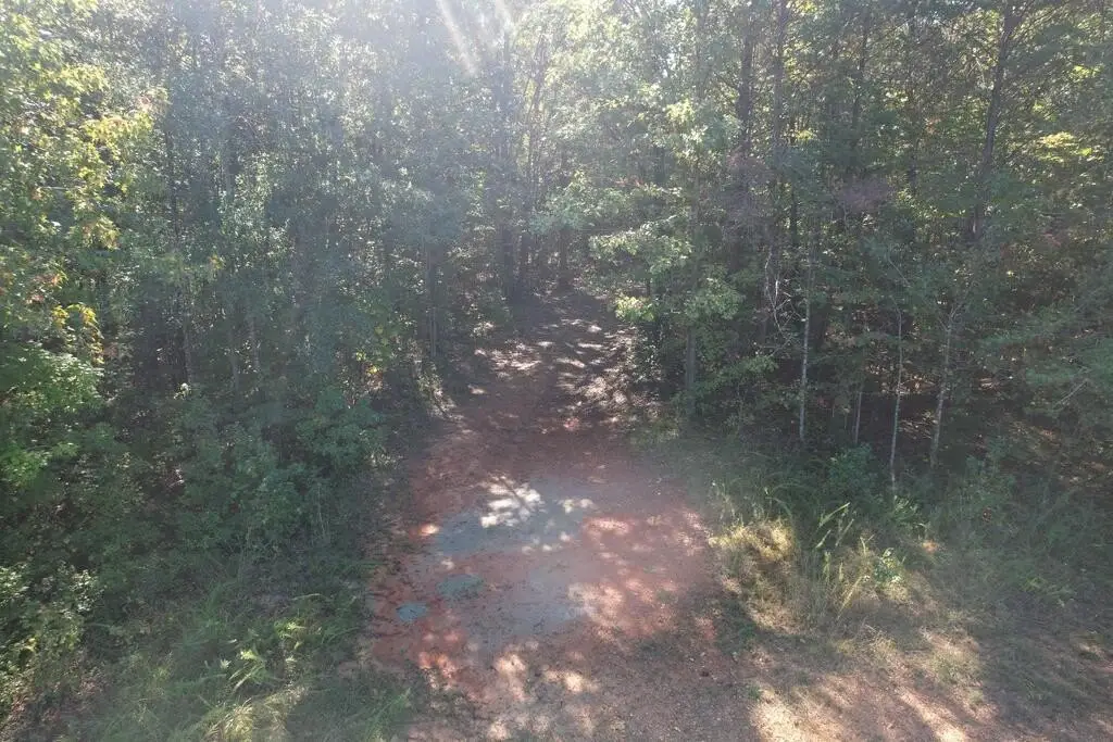 Picture 3