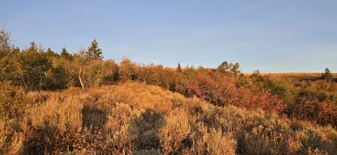 Arbon Valley Recreational Land