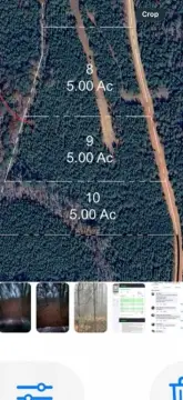 Wooded Homesite Lot in Gay