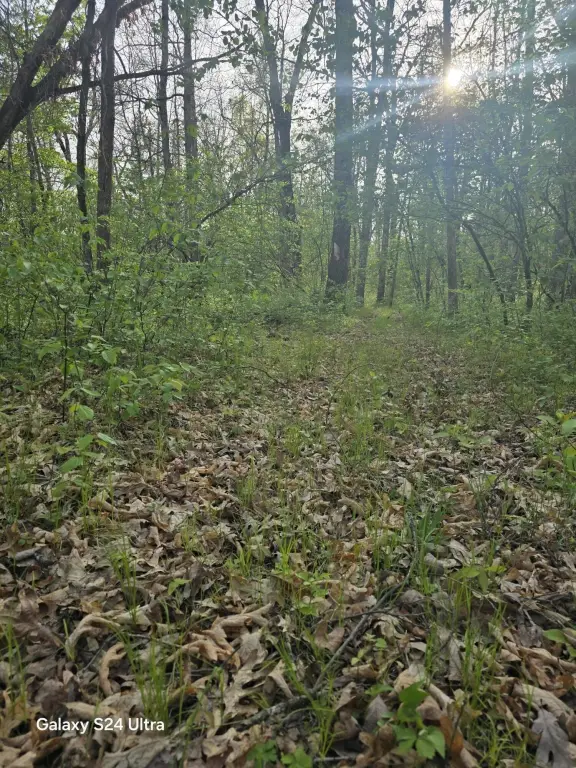 Picture 4