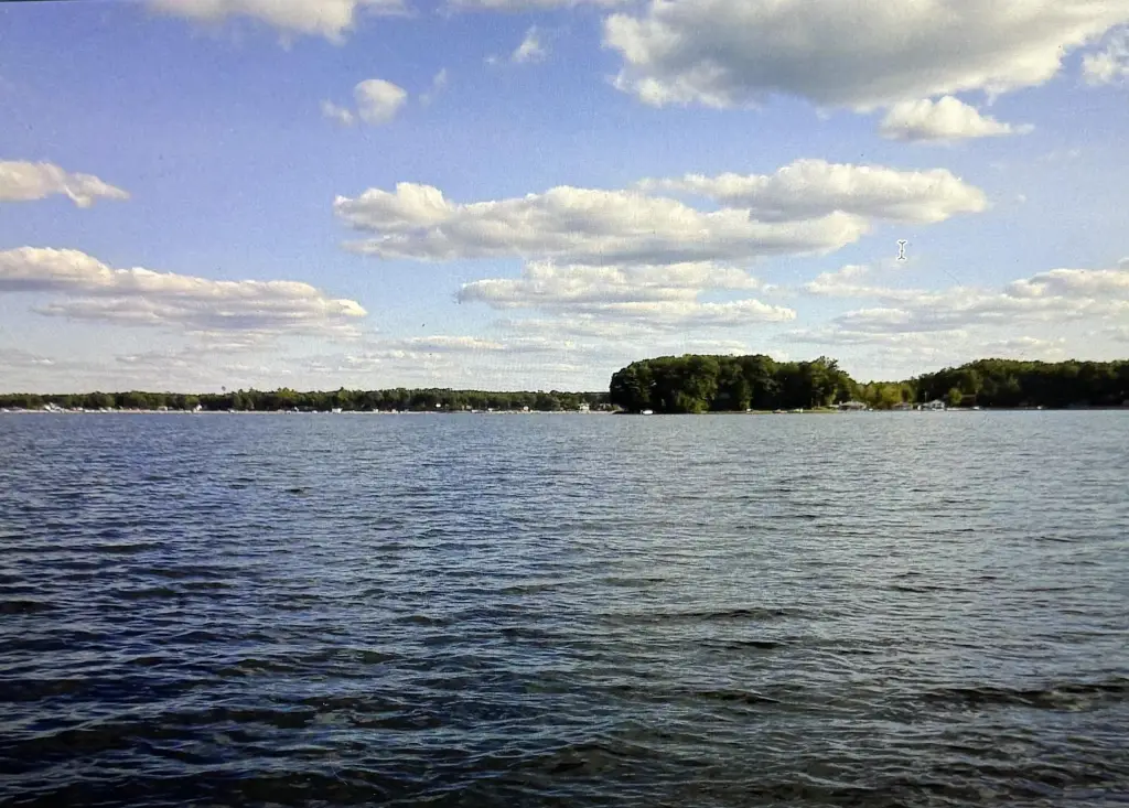 Picture 2