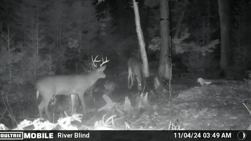 Picture 48