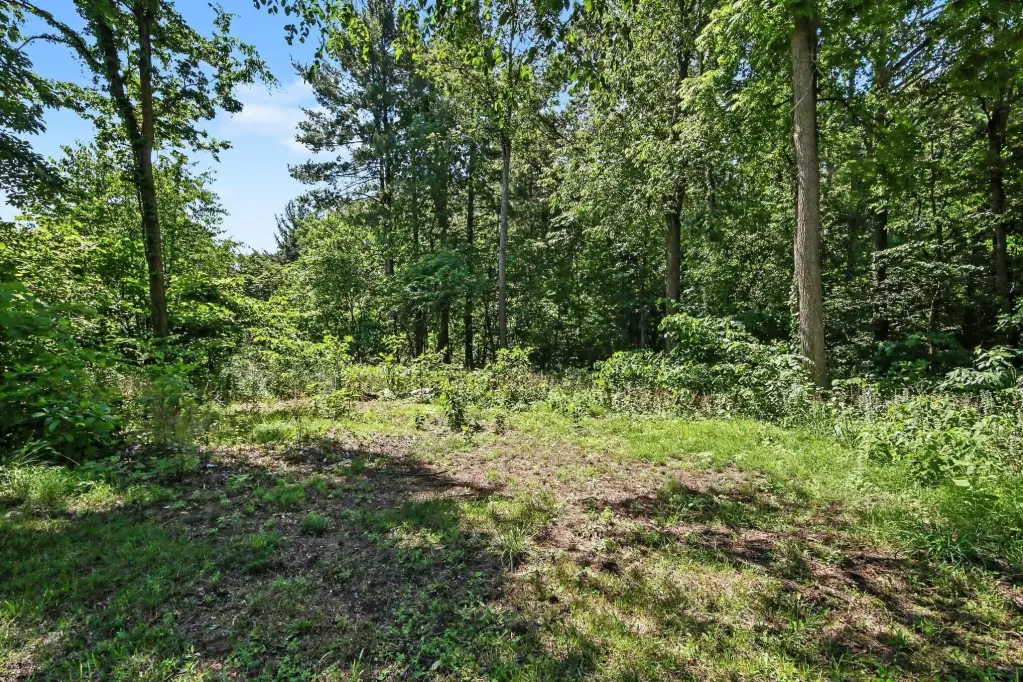 Picture 21