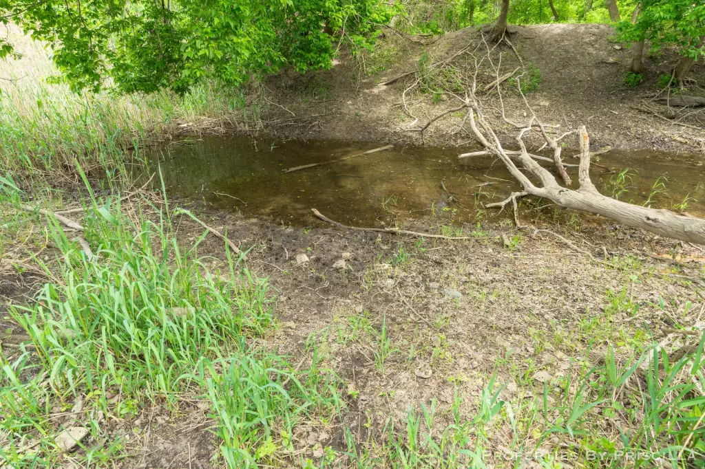 Picture 22
