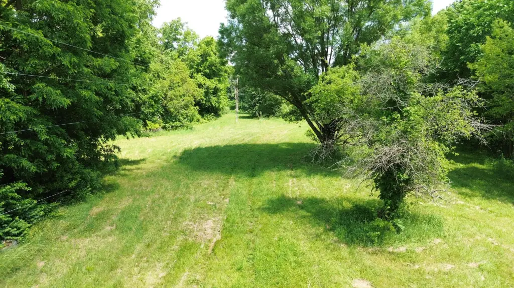 Picture 8