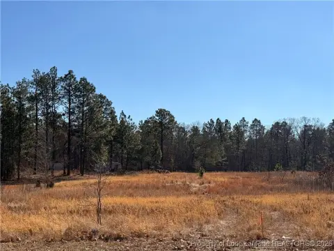 Residential Lot in Hoke County