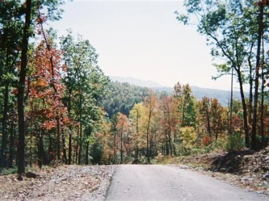 Picture 2