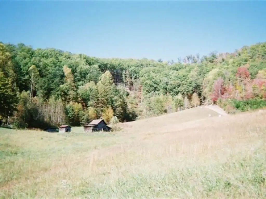 Picture 7