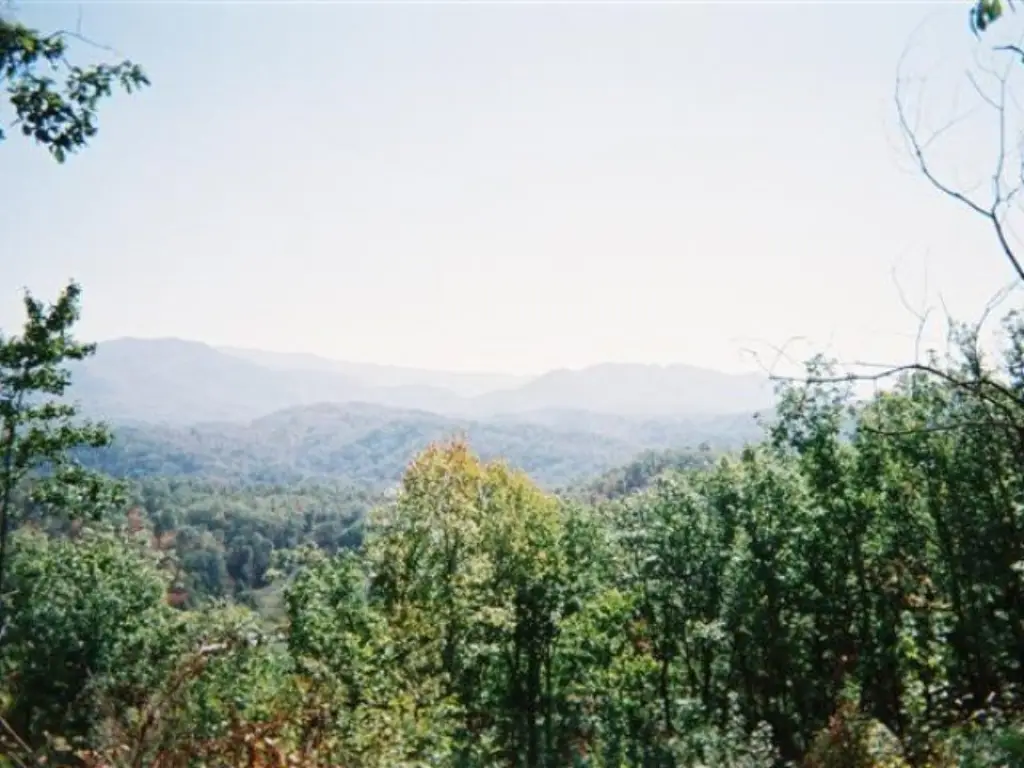 Picture 4