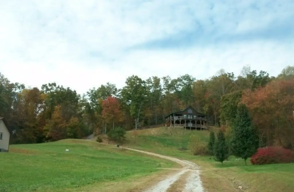 Picture 6