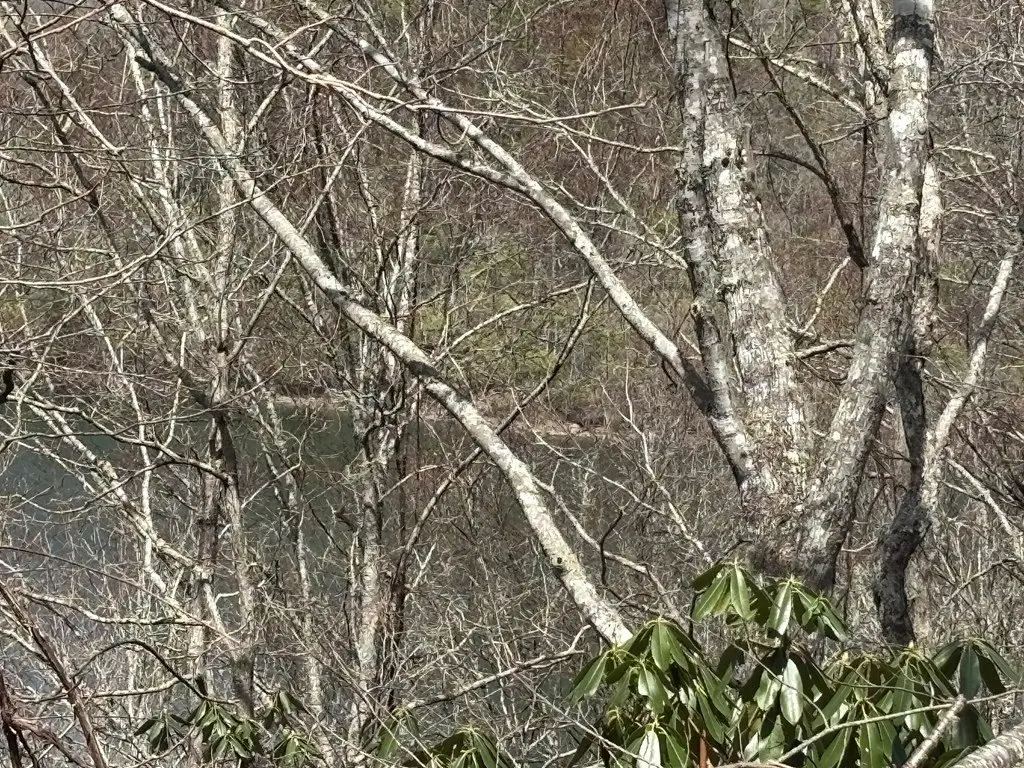 Picture 18
