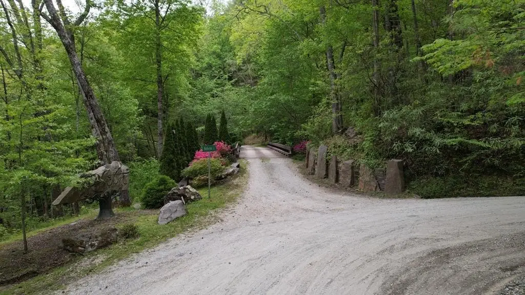 Picture 20