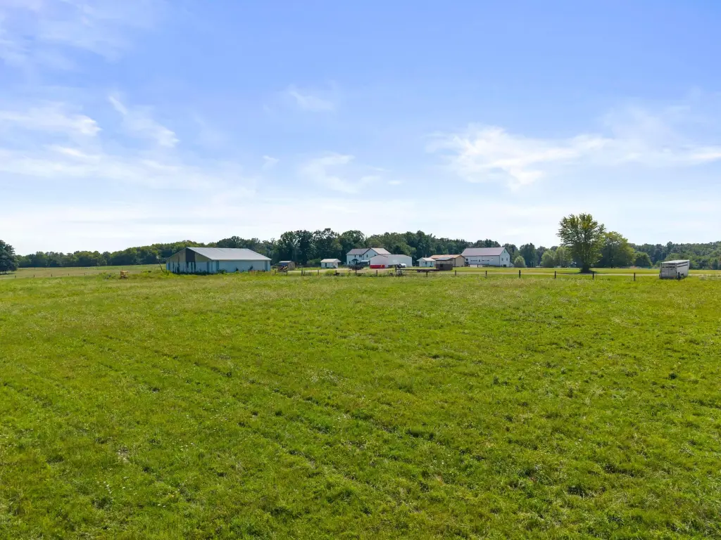 Picture 6