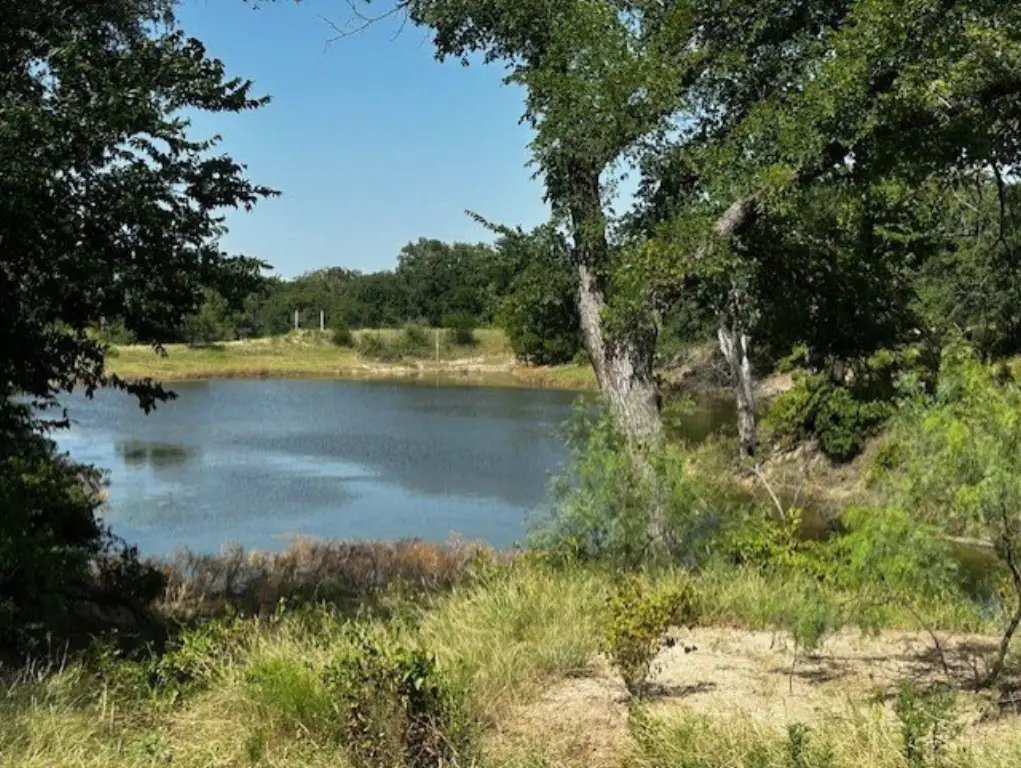 Picture 19