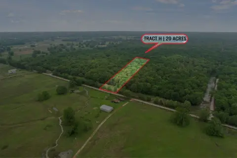 Recreation Land Tract with Timber