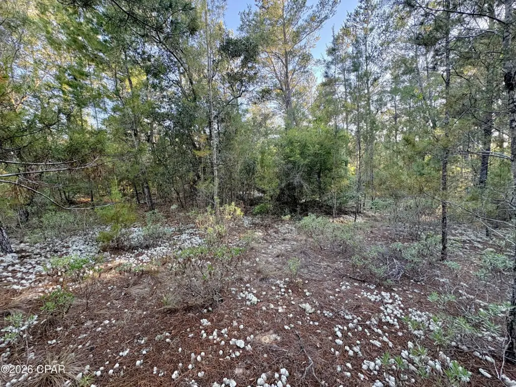 Picture 5