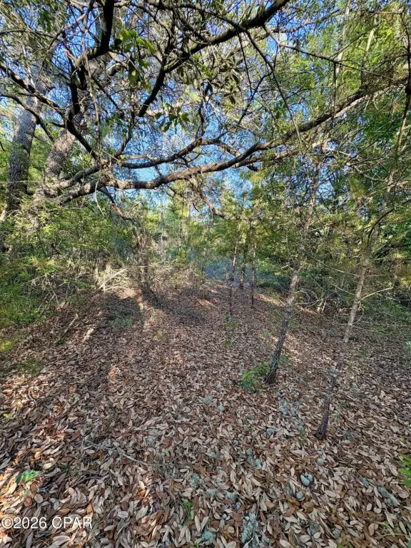 Picture 6