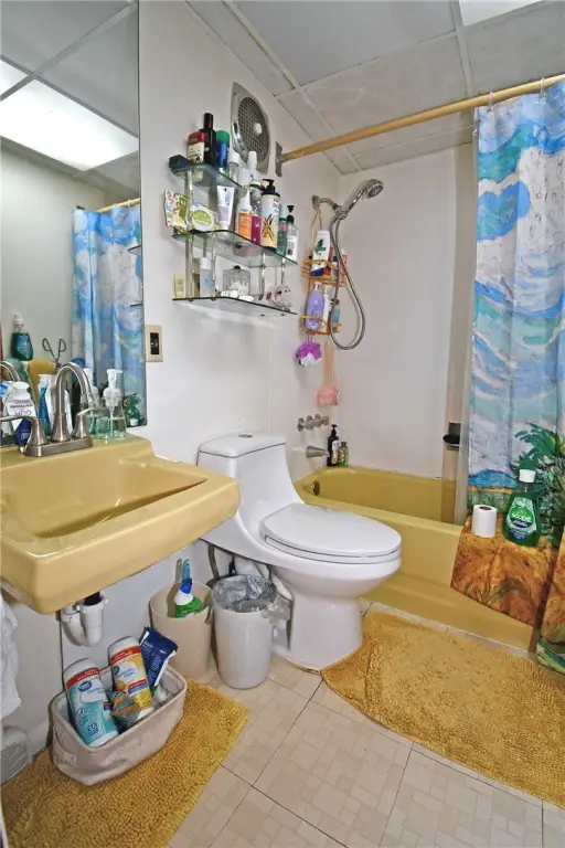 Picture 7