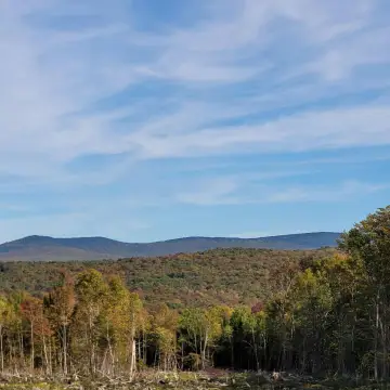 10.1 Acres of Serene Vermont Land