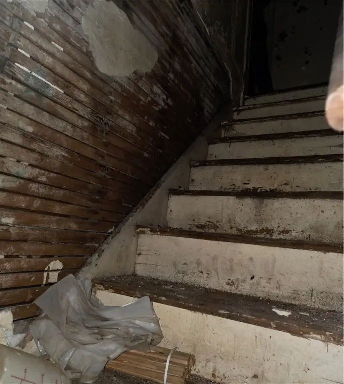 Picture 31