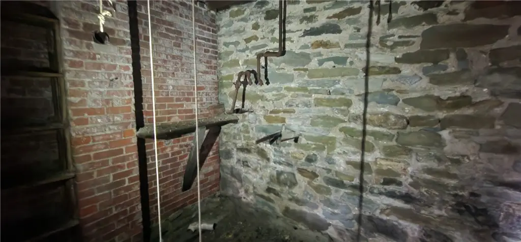 Picture 4