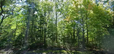 Expansive Land Parcel in Villas