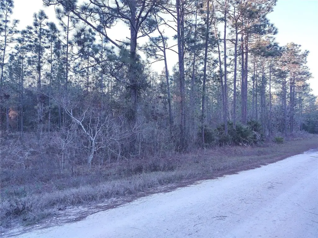 Picture 8