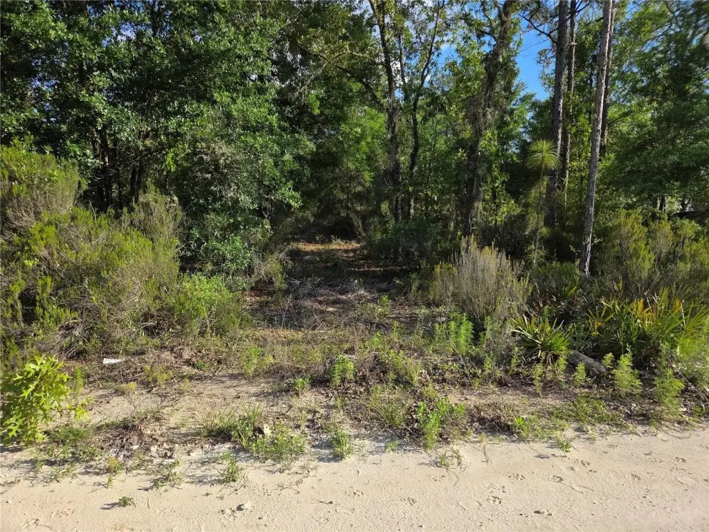 Picture 6
