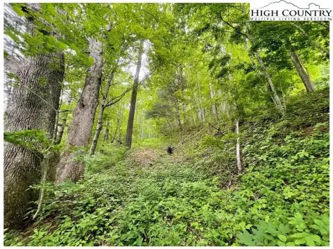 Creston Land with Hardwood Trees