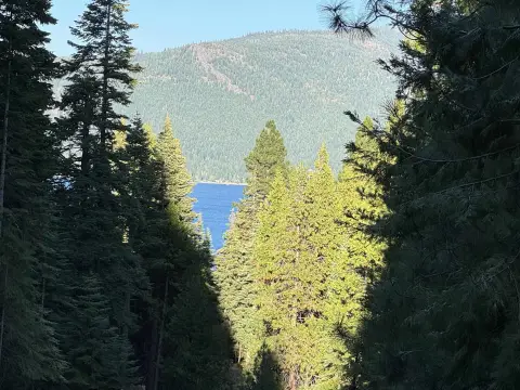 Lake Almanor View Lots