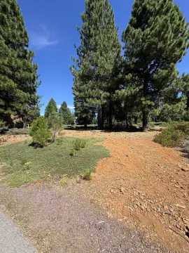 Lake Almanor Single Family Lot