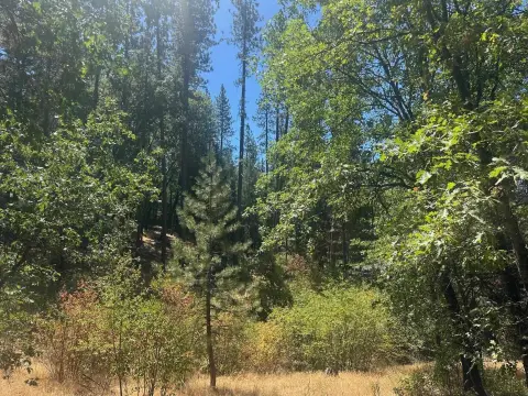 Undeveloped Lot in Quincy, CA