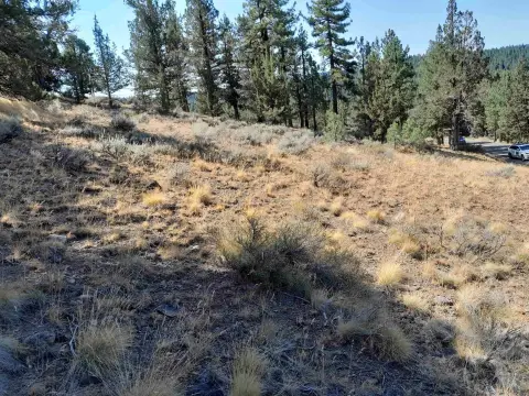 Mountain View Land Parcel