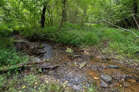 Creek Front Residential Land