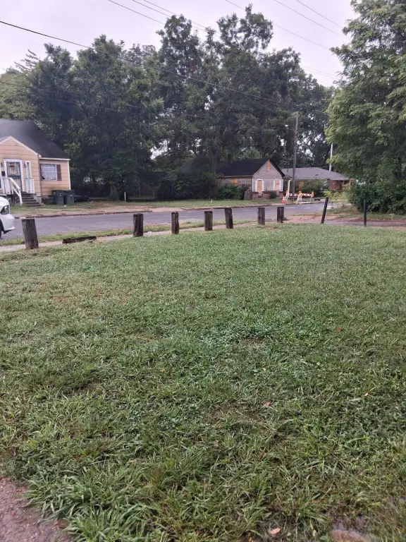 Picture 18