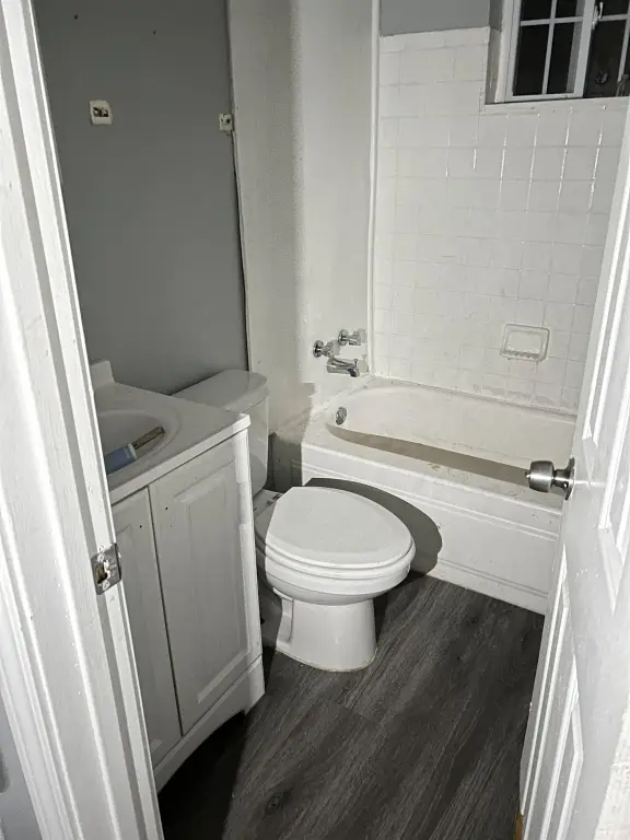 Picture 7