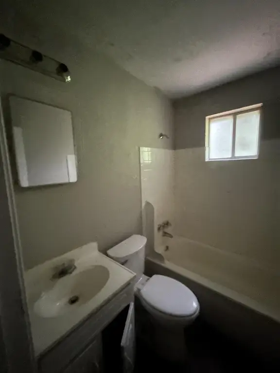 Picture 13