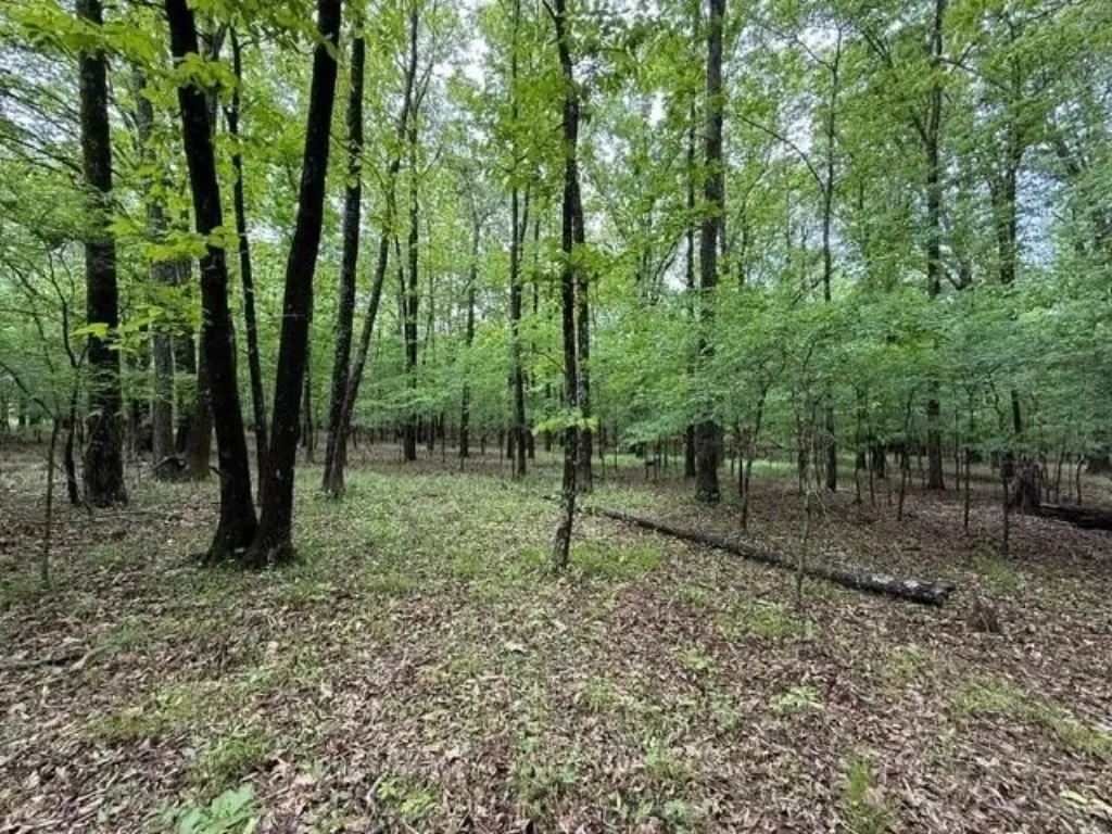 Picture 12