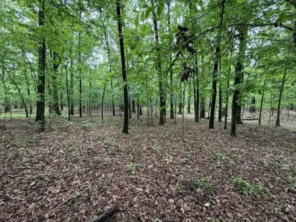 Picture 10