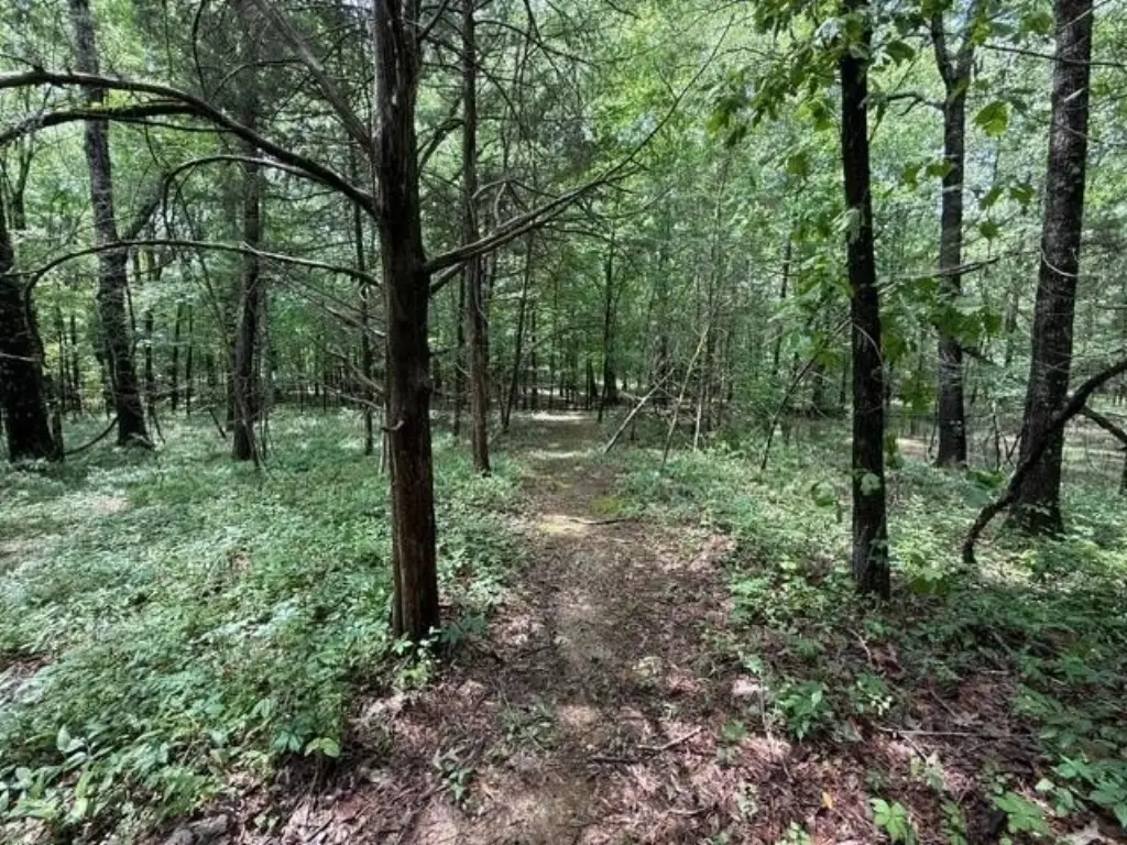 Picture 17