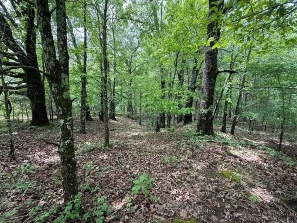 Picture 15