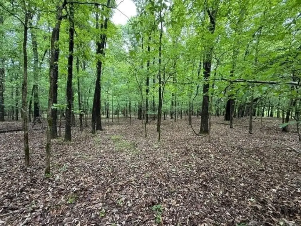 Picture 11
