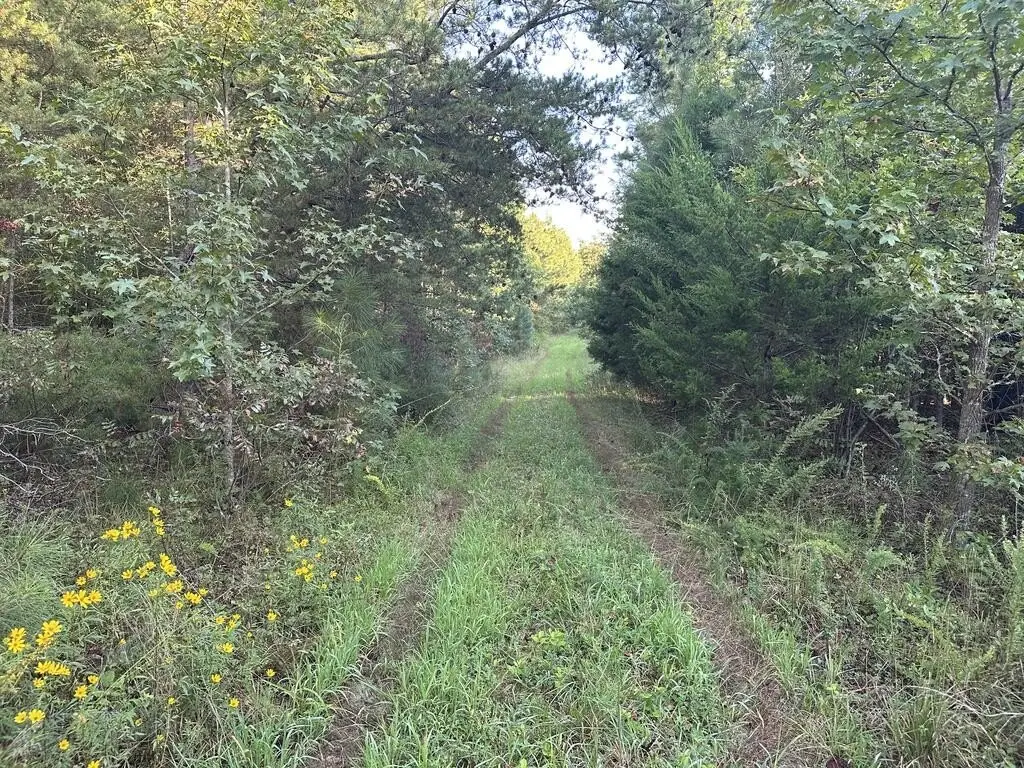 Picture 4