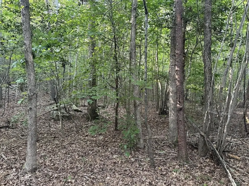 Picture 36