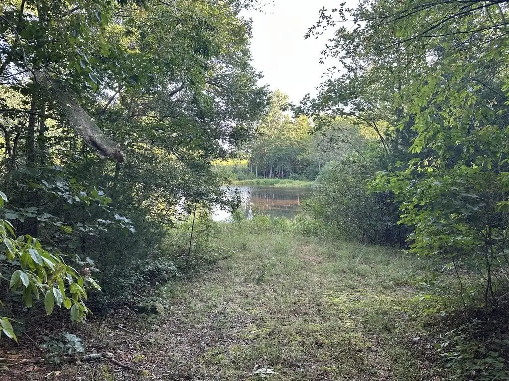 Picture 30