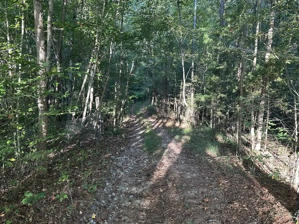 Picture 25