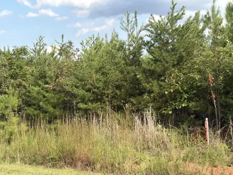 Rural Hunting Land